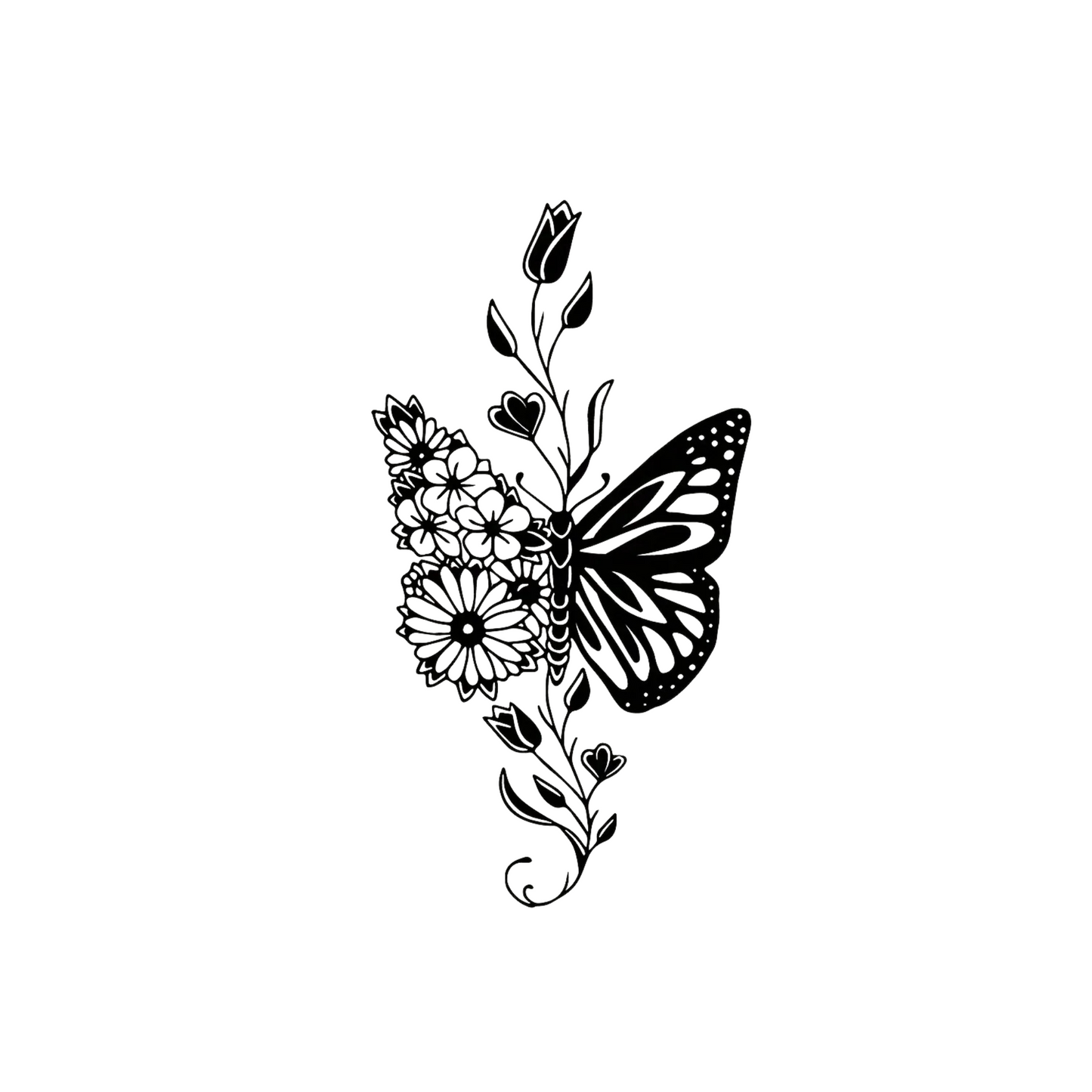 Schmetterling & Pflanze