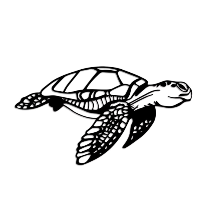 sea ​​turtle