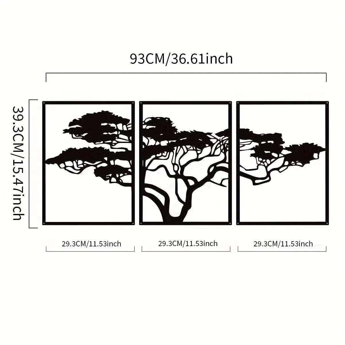 Burkea Africana / Pinienbaum? / 3 Stück ((Preis: 69,24€))