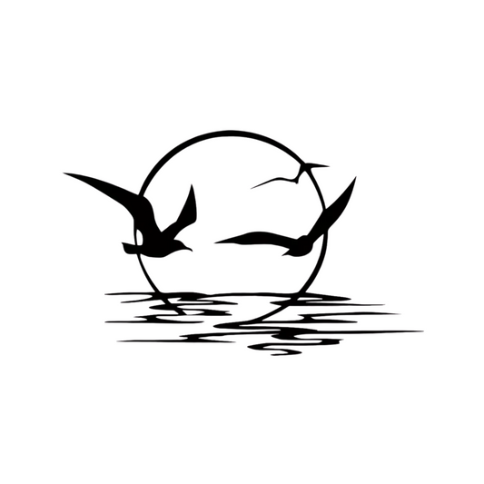 Möwe