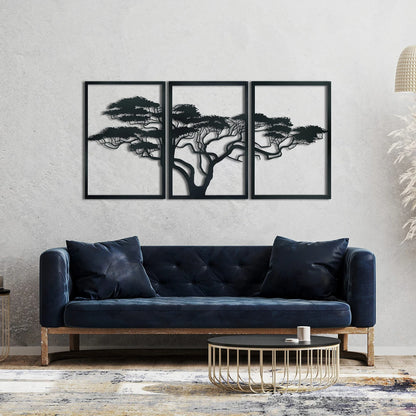 Burkea Africana / Pinienbaum? / 3 Stück ((Preis: 69,24€))