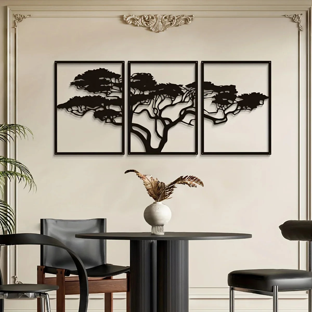 Burkea Africana / Pinienbaum? / 3 Stück ((Preis: 69,24€))